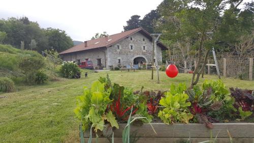 Ispaster Appartement | Apartamentos Iparagirre