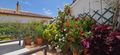 Ronda Appartement | Apartamentos Los Descalzos Ángel With Private Terrace Free Parking