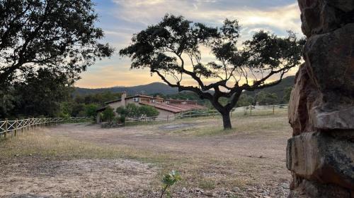 Alia Appartement | Apartamentos Rurales En Plena Sierra