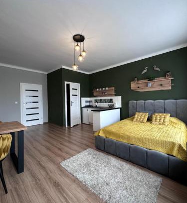 Poddebice Appartement | Apartamenty w Kamienicy