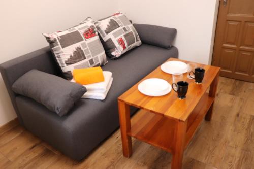 Zator Appartement | Apartamenty Zator Energy Rest