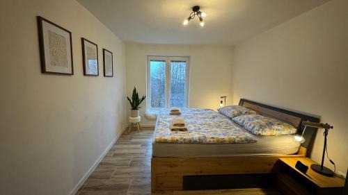 Spania Dolina Appartement | Apartmán ŠPANIA DOLINA