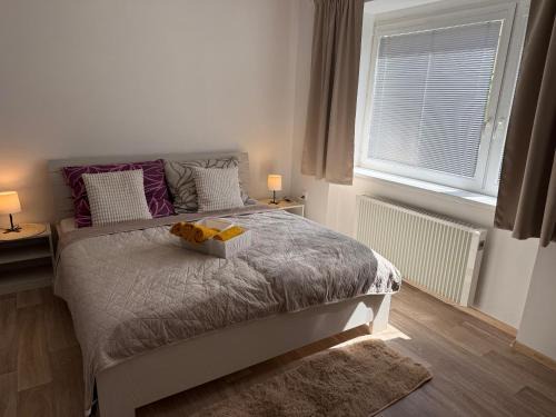 Jicin Appartement | Apartmán Danimo
