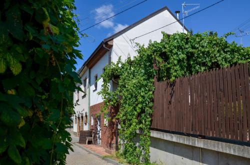 Moravska Nova Ves Appartement | Apartmán Hejč