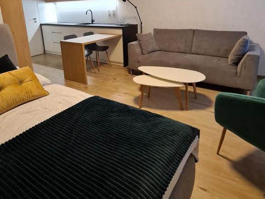 Rajecke Teplice Appartement | Apartmán Hestia 5