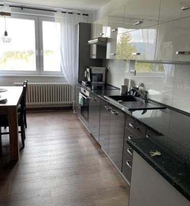 Zelezna Ruda Appartement | Apartmán Hojsova Stráž