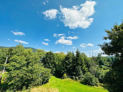 Horni Vltavice Appartement | Apartmán pod Boubínem