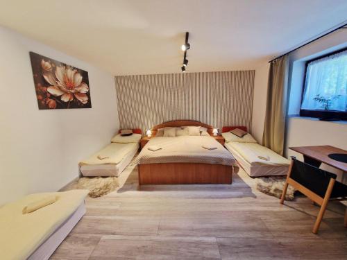 Terchova Appartement | Apartmán pri zmrzline