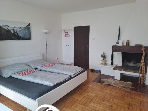 Olomouc Appartement | apartmán s krbem