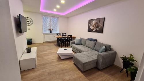 Karlovy Vary Appartement | Apartmán Sokolovská