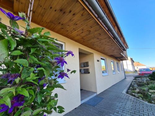 Cerna V Posumavi Appartement | Apartmán U AKVARISTY
