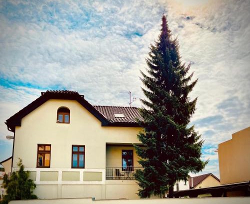 Dvur Kralove nad Labem Appartement | Apartmán U SMRKU