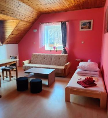 Bor u Skutce Appartement | Apartmán v Záchranné stanici Pasíčka