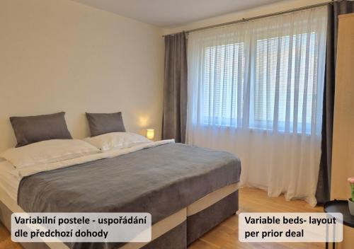 Ivan Appartement | Apartmán Vital na Pálavě - ubytování & životní restart