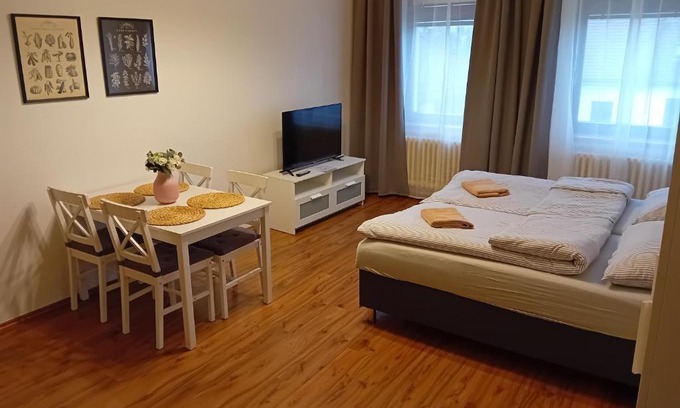 Stribro Appartement | Apartmány Šrámek Stříbro