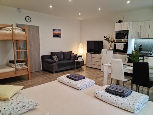 Dvur Kralove nad Labem Appartement | Apartmány Žireč