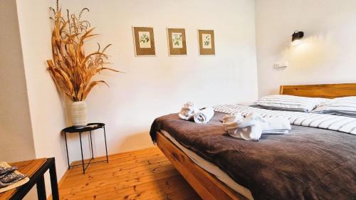 Brniste Appartement | Apartmány Včelín