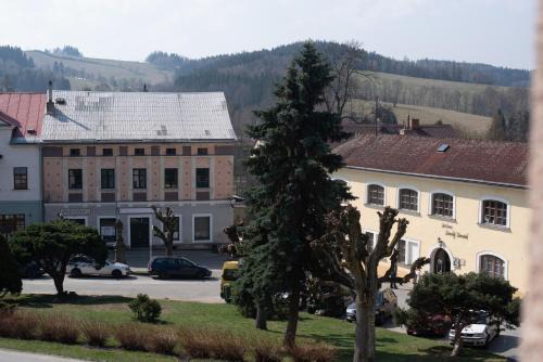 Olesnice v Orlickych horach Appartement | Apartmány16 Olešnice v Orlických horách