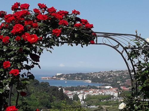 Seca Appartement | APARTMA SEA VIEW