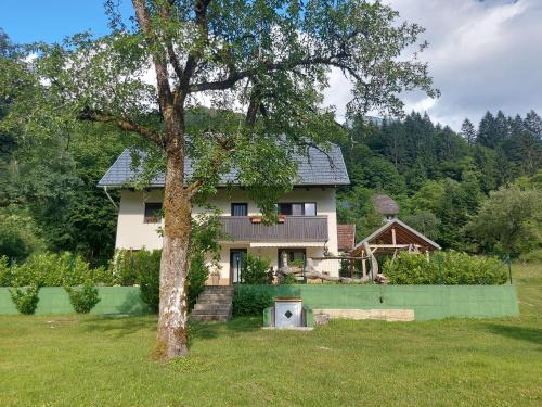 Soca Appartement | Apartmaji Katrč