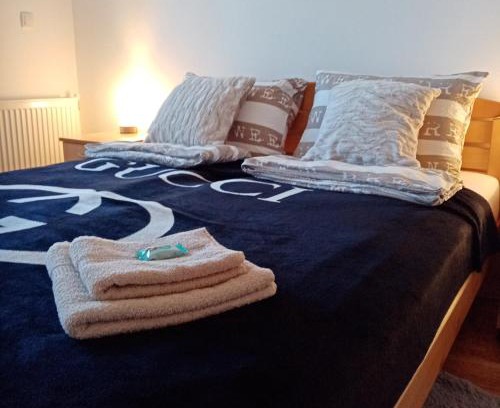Apatin Appartement | Apartman Ana