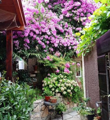 Cres Maison | Apartman i Sobe Čule Cres