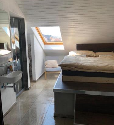 Frantiskovy Lazne Appartement | Apartman Kryštof