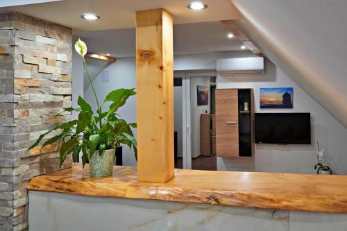 Ravna Gora Appartement | Apartman Tilia