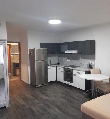 Horsovsky Tyn Appartement | Apartman u lesa