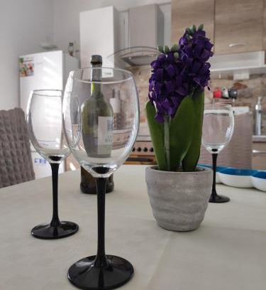 Pridraga Appartement | Apartmani Žak