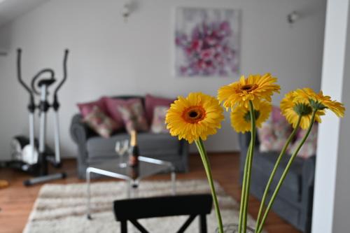 Ludbreg Appartement | Apartmani Lucija