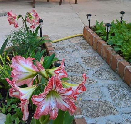 Nerezine Maison | Apartmani Rukonić Aleksandar