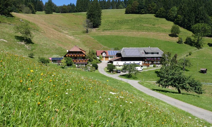 Obermunstertal Appartement | Appartement 'Auszeit -Gipfhof-' avec vue sur les montagnes, jardin partagé et Wi-Fi