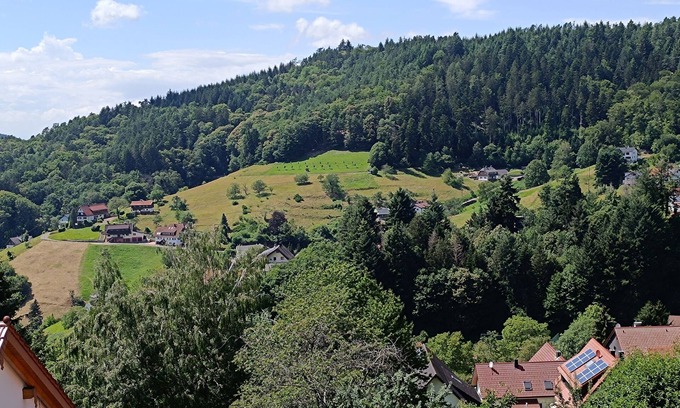 Altschweier Copropriété | Apartment 35 sqm with valley view directly on the edge of the forest