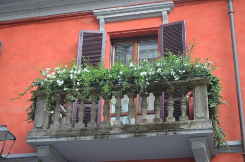 Alba Appartement | Apartment Alfieri
