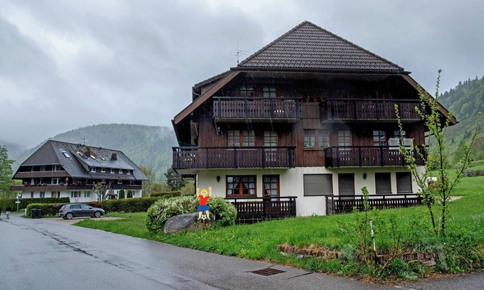 Menzenschwand-Hinterdorf Appartement | Appartement 'Am Blaubeerhang' avec vue sur les montagnes, terrasse privée et Wi-Fi