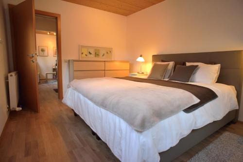 Oetztal-Bahnhof Appartement | Apartment Amberg