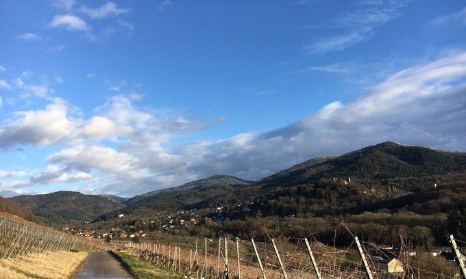 Badenweiler Appartement | Appartement au parc des sens