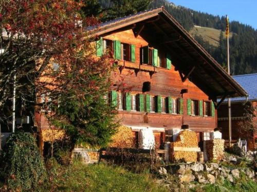 Oberwil im Simmental Appartement | Apartment Auf der Mauer by Interhome