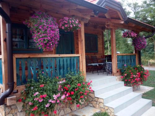 Mokra Gora Appartement | Apartment Bajka