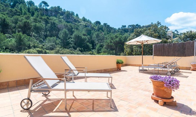 Cala San Vicente Appartement | Apartment Can Antoni