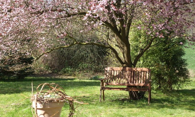 Putbus Appartement | Apartment for max. 5 people in nature and yet central garden and pool