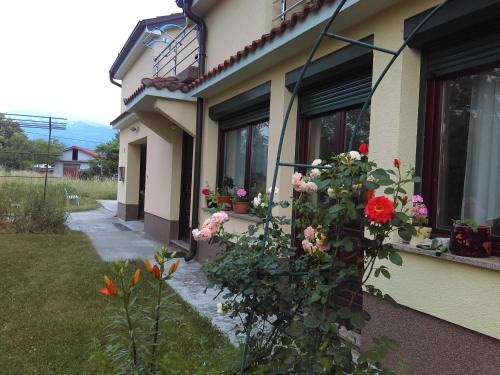 Sarsoni Appartement | Apartment Frane Grobnik
