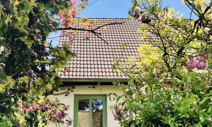 Brusewitz Appartement | FeWo 'Miss Tulip Boom' moderne, écologique, tranquille et pourtant proche de la ville