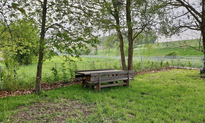 Bad Rappenau Appartement | Apartment Freunde WG, 105sqm, 4 bedrooms, max. 8 persons