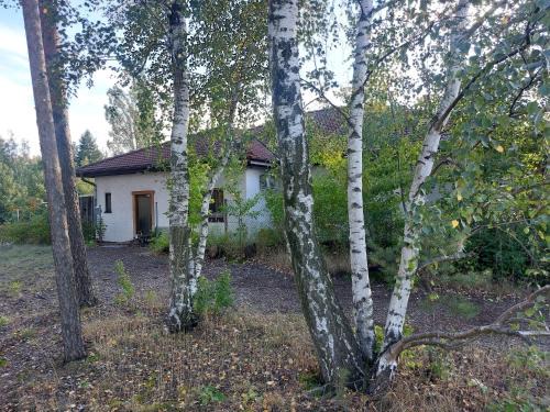 Weiwasser/O.L. Appartement | Apartment GNUBBEL am Wald