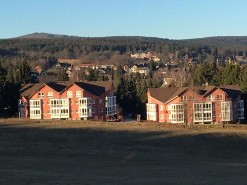 Braunlage Appartement | Apartment Gosch an der Skiwiese