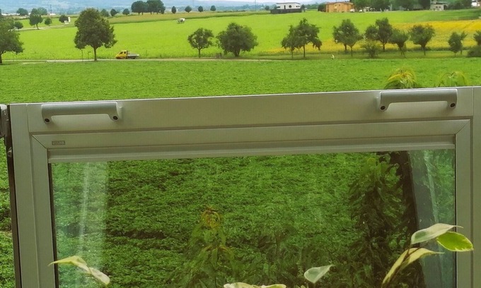 Bad Krozingen Appartement | Apartment 'Green' with Private Terrace, Shared Garden and Wi-Fi