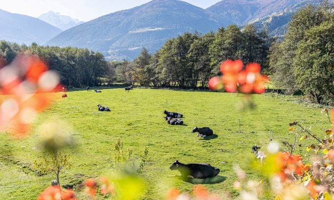 Sluderno Appartement | Appartement "Hausergut Bonita 4" avec vue sur les montagnes, jardin partagé et Wi-Fi