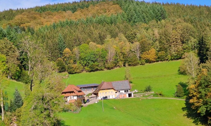 Wolfach Appartement | Apartment 'Hof' with Mountain View, Private Terrace and Wi-Fi